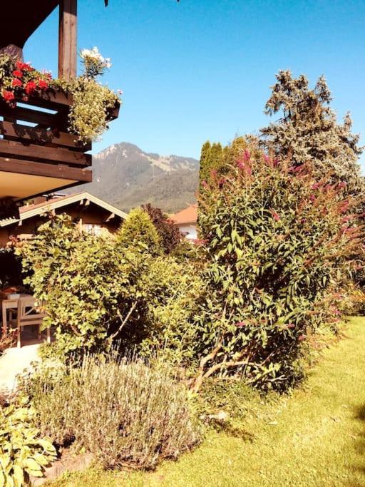 Charmantes Garten-Apartment: Erholung Im Chiemgau Unterwössen المظهر الخارجي الصورة